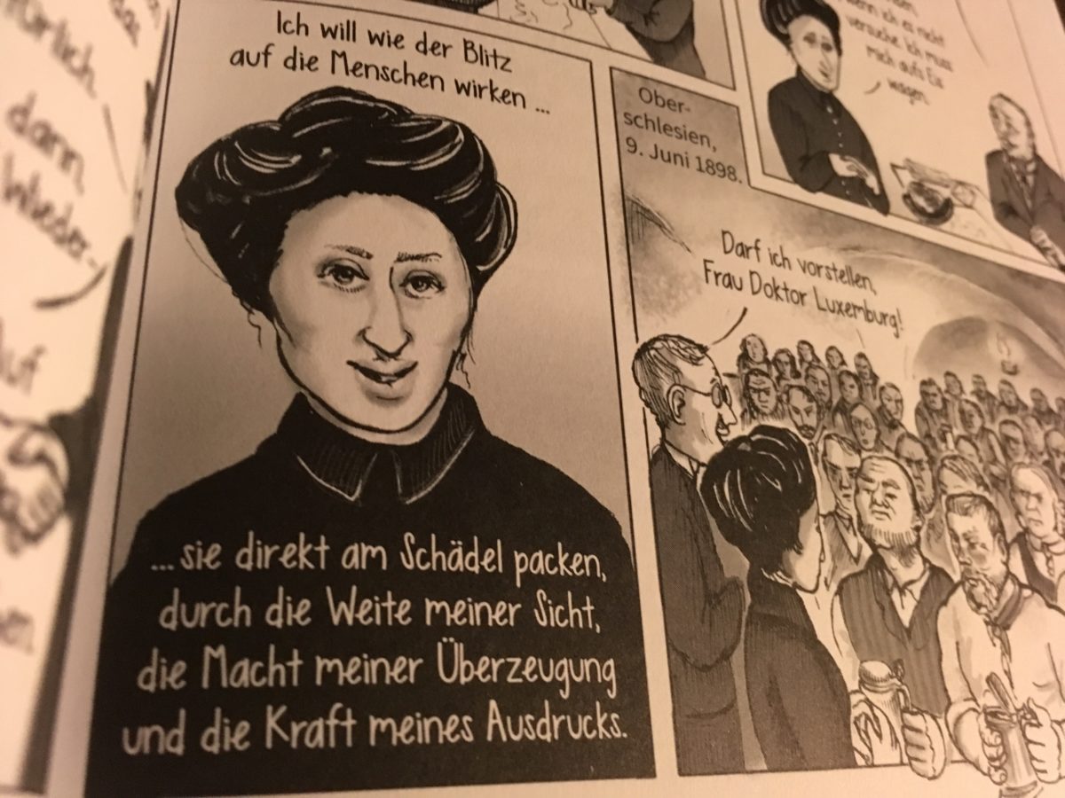 100. Jahrestag Der Ermordung Von Rosa Luxemburg - Novelero